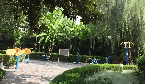 入户积分入深户_舒淇导演首作入围威尼斯主竞赛单元，黄渤《浪浪人生》定档12月 名律正在内数十师和医院记者